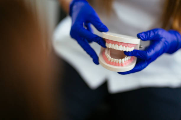 Best Dental Exams and Cleanings  in Lake Mawk, OH